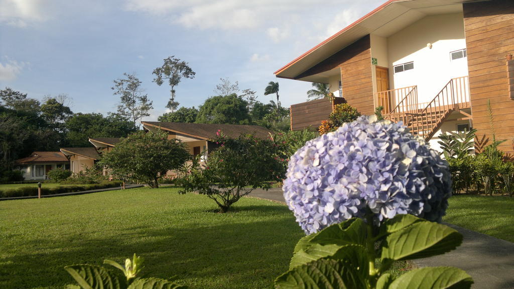 Hotel Eco Arenal La Fortuna المظهر الخارجي الصورة