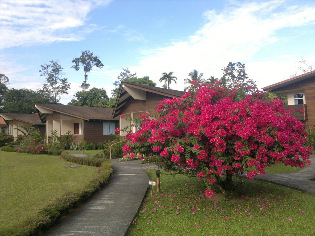 Hotel Eco Arenal La Fortuna المظهر الخارجي الصورة